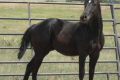 Hershey be looking June 2013
