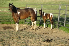 Mr. and Mom